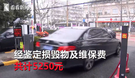 男子怒砸停车系统，背后的故事与反思