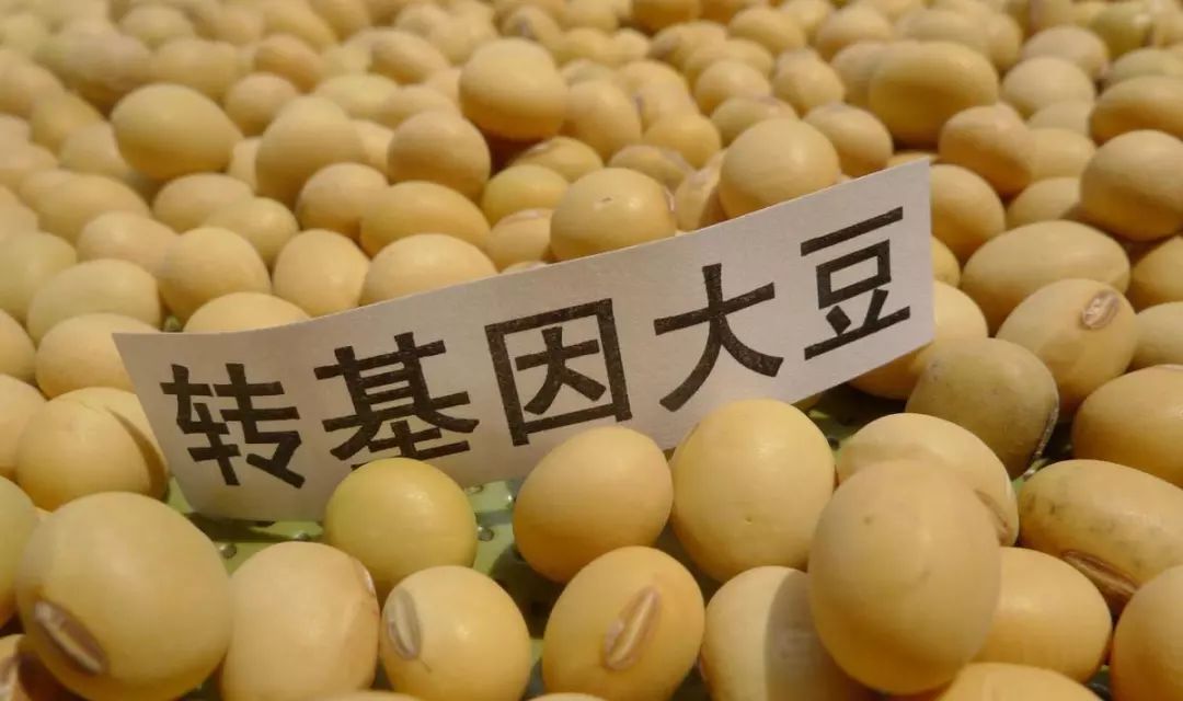 中国进口乌克兰豌豆和水产品的多元合作与发展趋势