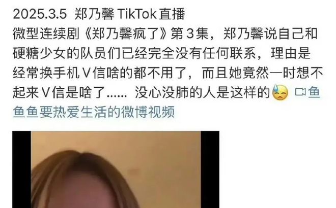 网红猩猩砸倒女游客事件深度解析