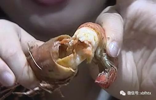 女子神奇剥虾术，秒速剥壳，惊艳众人