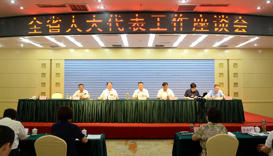 河南省人大代表厉害吗？