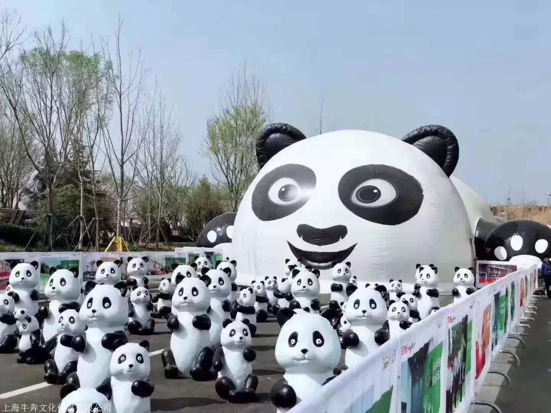 人大代表带来的熊猫猪火了