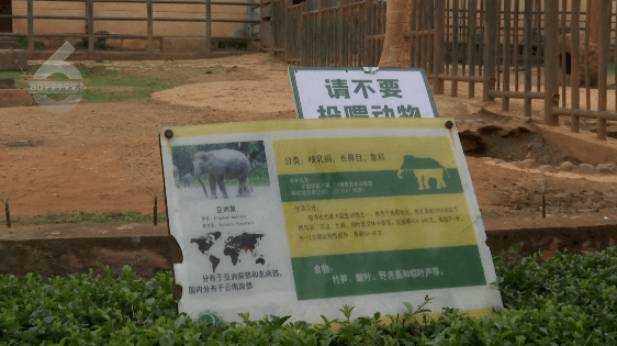 建设动物园需要哪些手续？一篇文章带你了解全过程！