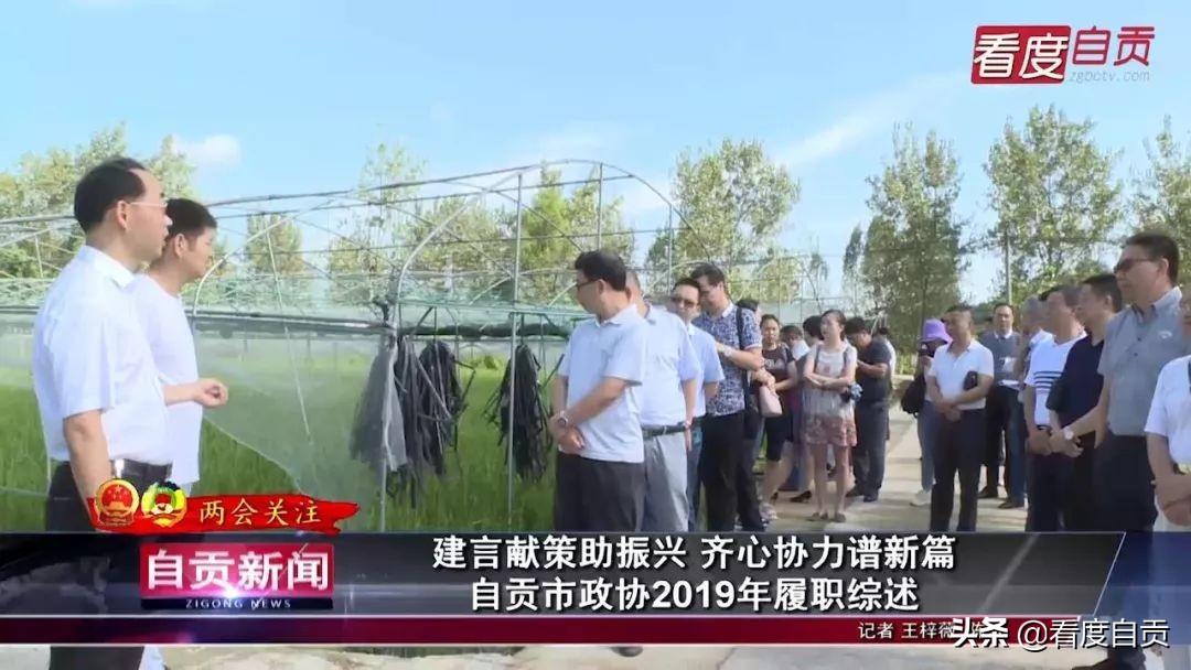 医药卫生界政协提案，推动健康中国建设的力量