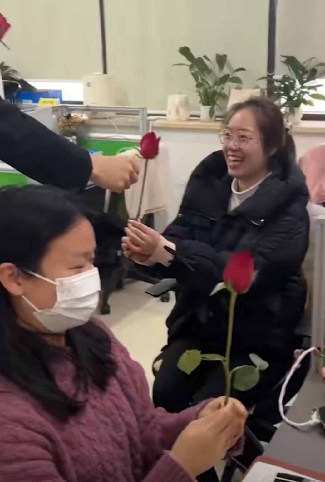 为女员工送玫瑰花，职场中的温暖瞬间与美好记忆