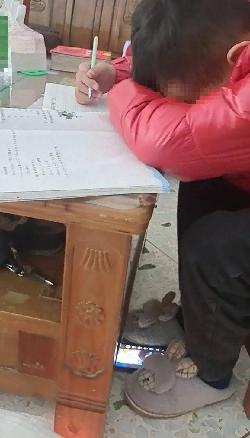 小孩哥撇开作业偷瞄旁边叔叔玩手机怎么办？解决方法全攻略