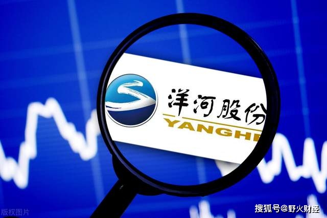 江苏洋河增资至25亿，揭秘背后的战略意义与行业洞察