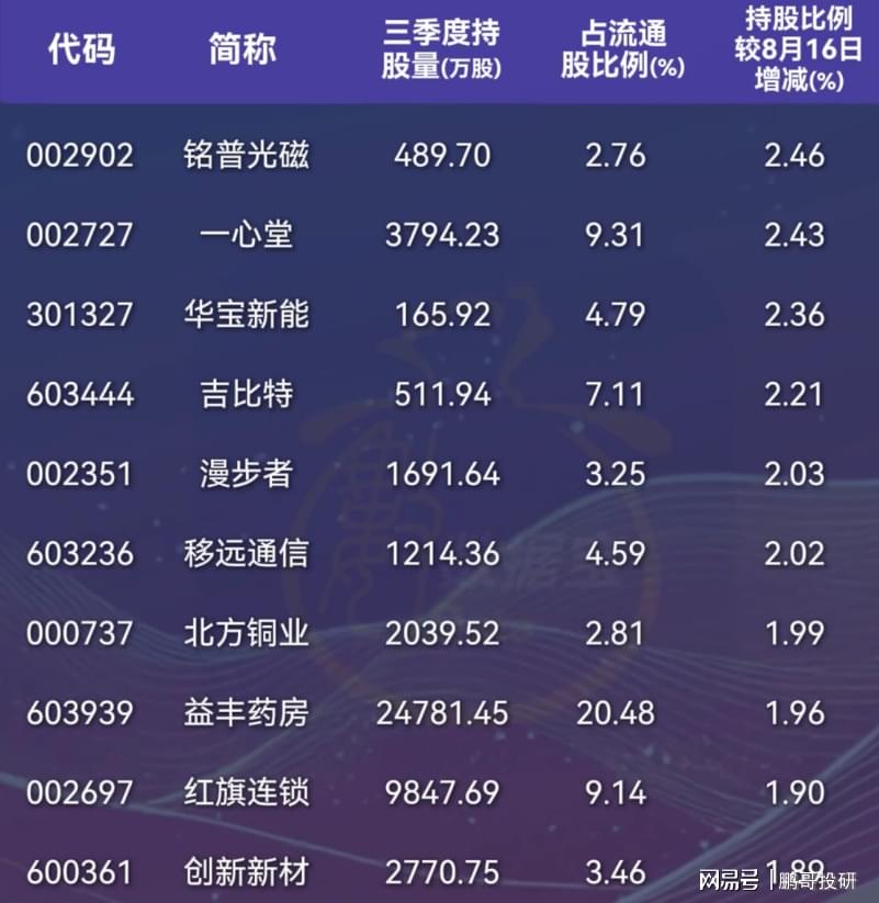 高盛推荐的十大潜力股票，深度解析与前景展望