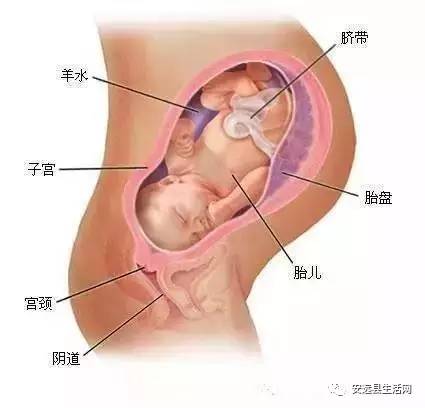30周胎儿子宫内溺水——全方位解读与处理