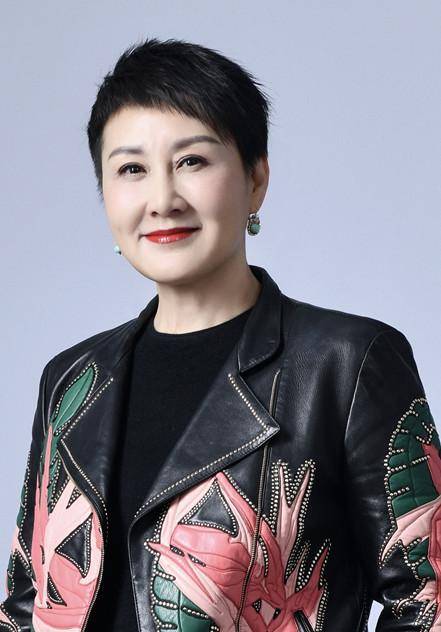 张凯丽建议调整票价，公众热议与未来展望