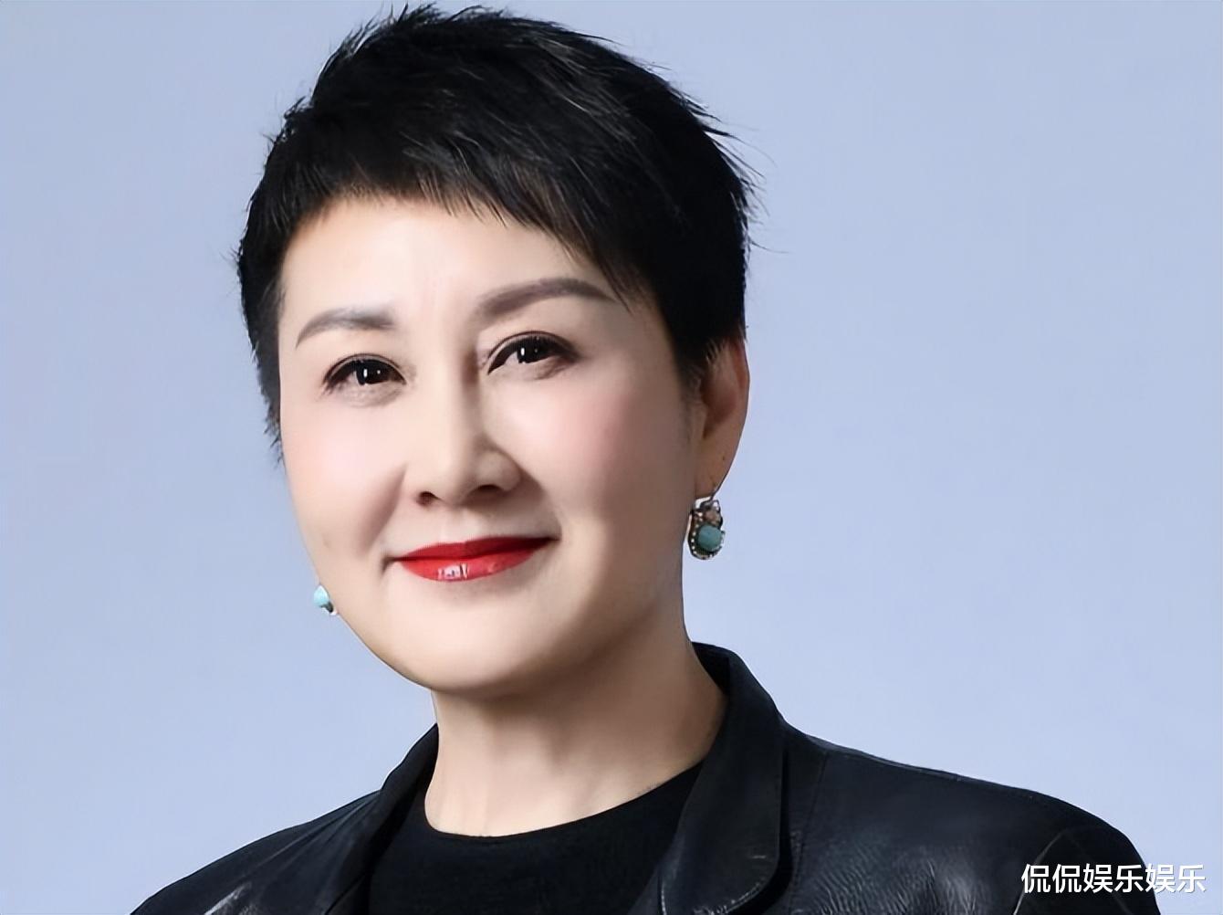 张凯丽建议调整票价，公众热议与未来展望