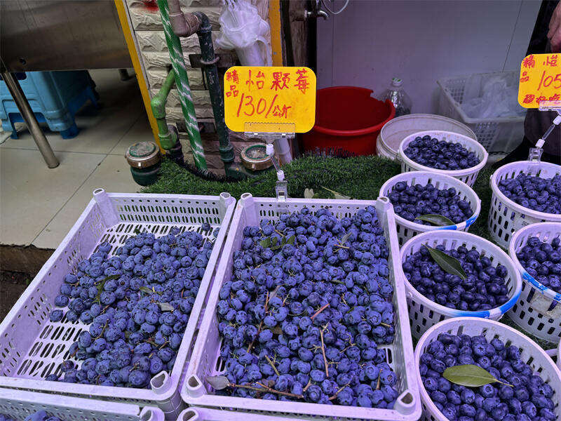 蓝莓十块钱三盒，超值优惠，品质生活的选择