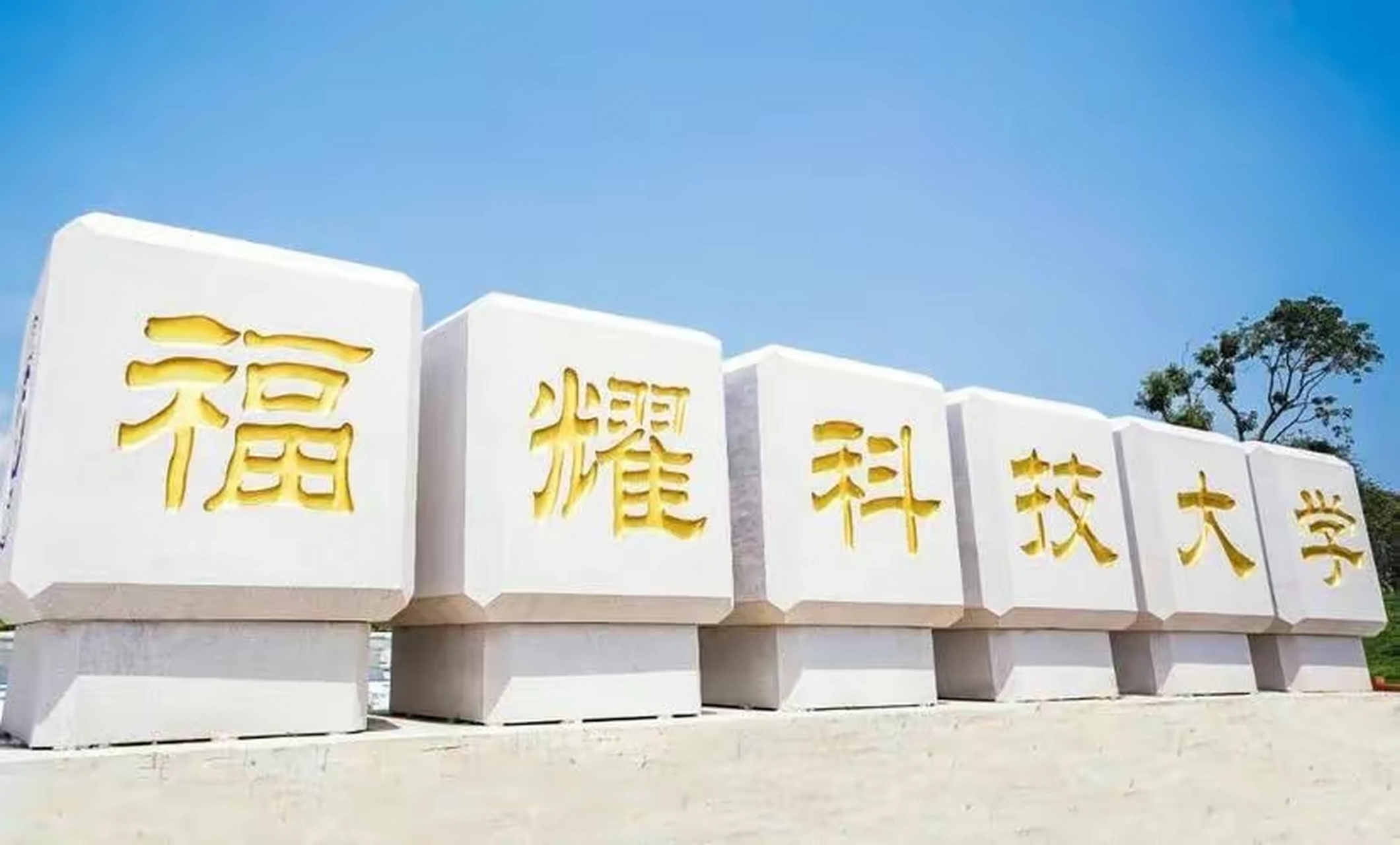 福耀科技大学的专业全景解析
