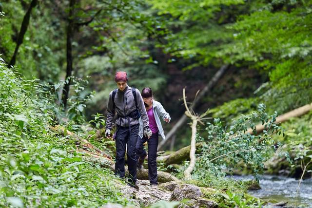 小伙登华山失联8天，生死未卜的冒险之旅与全民关注的力量