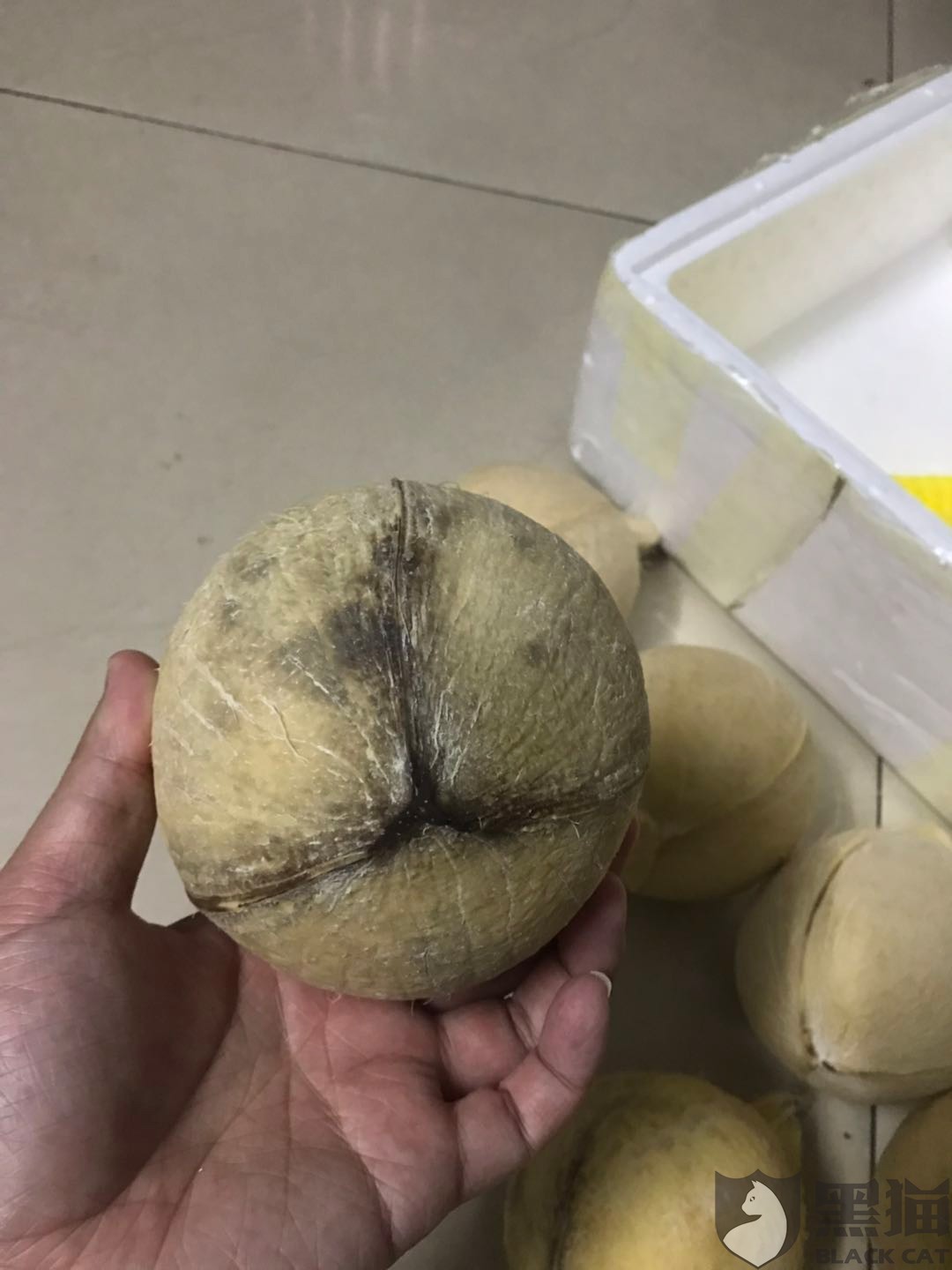 游客吃发霉椰子呕吐事件引发的警示