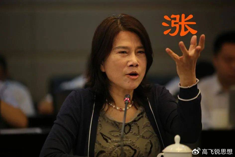 董明珠炮轰股市乱象，暗讽炒高股价成首富是投机游戏