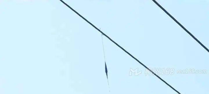 悲剧瞬间，男子鱼竿误触高压线遭电击倒地