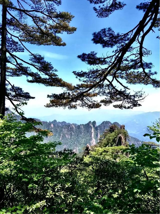 天若有情一、情感与时代的交织
