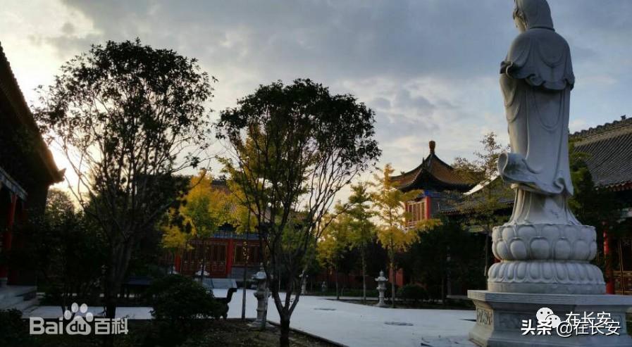 石狮子被砸，背后的故事与深思