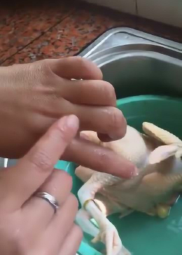 拿一只鸡送朋友是否合适？深度解析背后的文化与情感考量