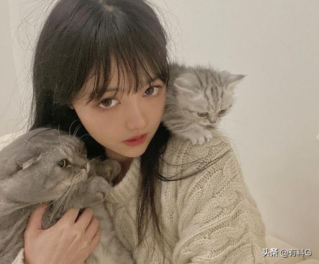警惕PUA陷阱，20岁女画师的悲剧与反思