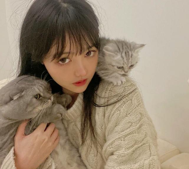 警惕PUA陷阱，20岁女画师的悲剧与反思