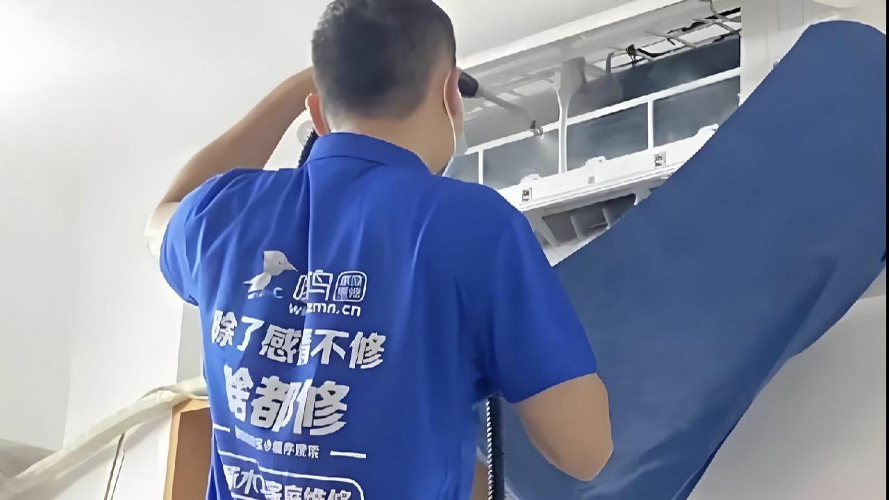 维修刺客啄木鸟，守护机器世界的秘密战士