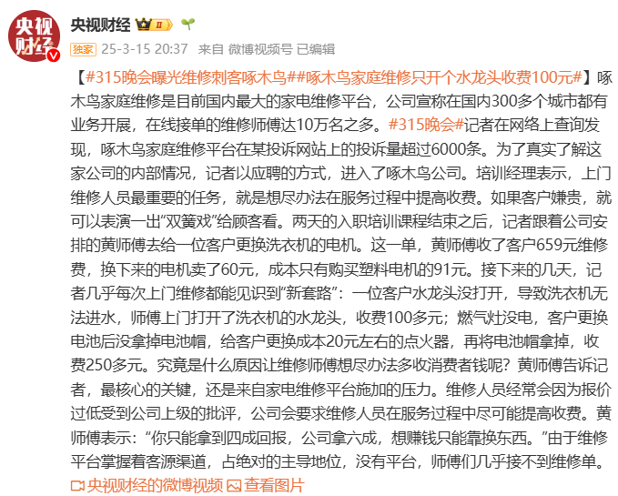 维修刺客啄木鸟，守护机器世界的秘密战士