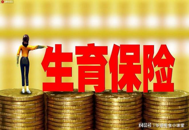 生育津贴十万，政策解读与影响探讨