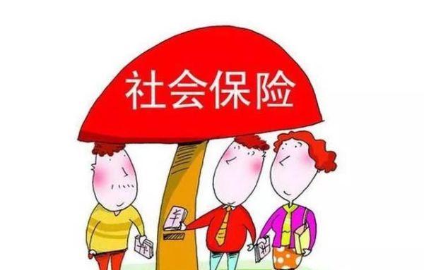 生育津贴高达10几万，政策解读与影响探讨
