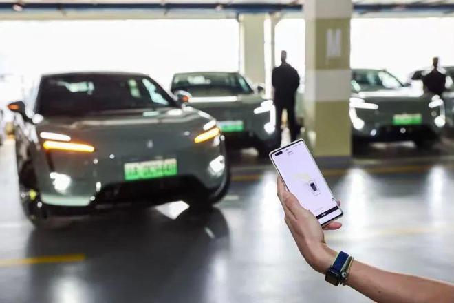 杭州车主对阿维塔AEB的质疑，是否成为了猪队友？
