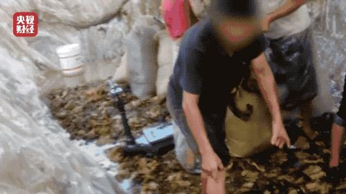 315曝光之后，深度剖析与未来展望