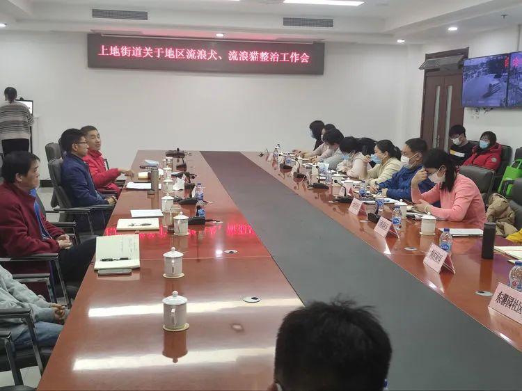 流浪猫8天抓咬3名路人投喂者被起诉，事件背后的反思与启示