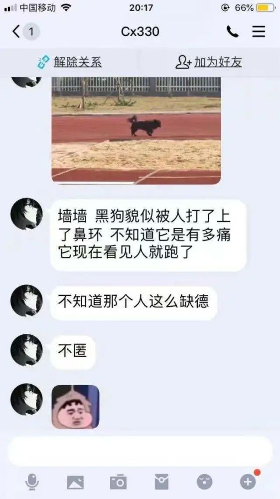 谢浩杰的女朋友是谁，一段探索与猜测的旅程