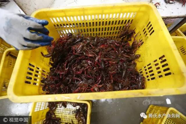 商贩用敌敌畏腌火腿被判2年4个月，食品安全警钟长鸣