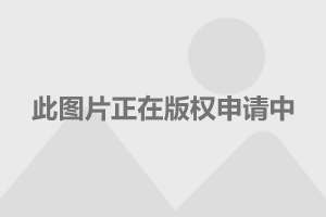 上海娱乐明星，星光璀璨，魅力四溢