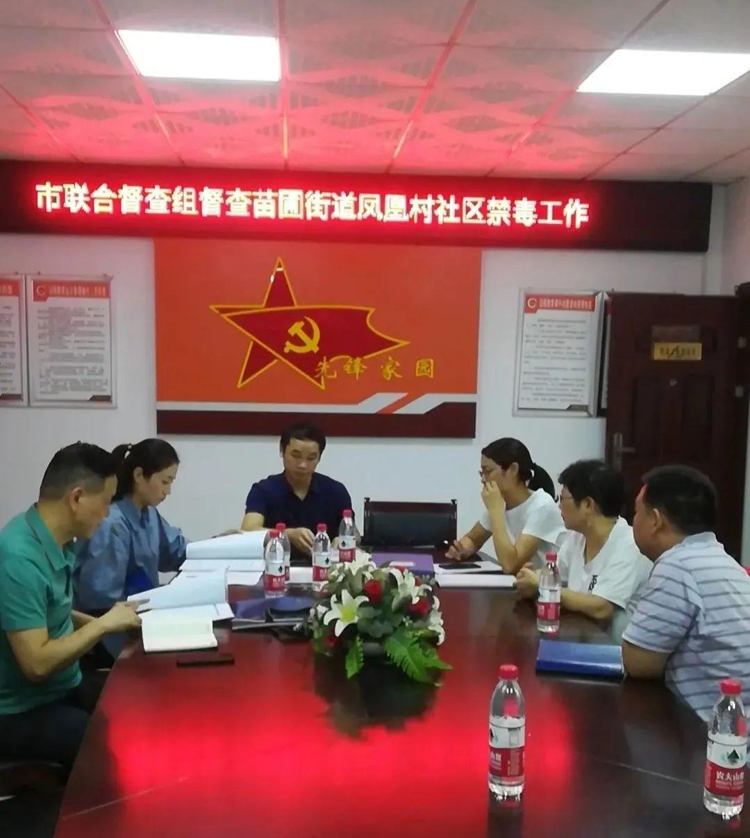 苗莆个人资料，揭秘一位值得关注的人物