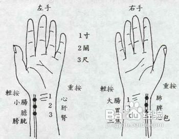 中医把脉能看出女性什么病？揭秘古老智慧与现代健康的交融