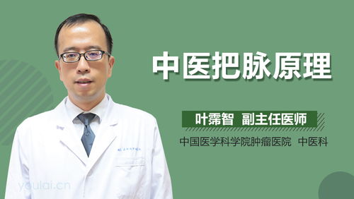 中医把脉能看出女性什么病？揭秘古老智慧与现代健康的交融