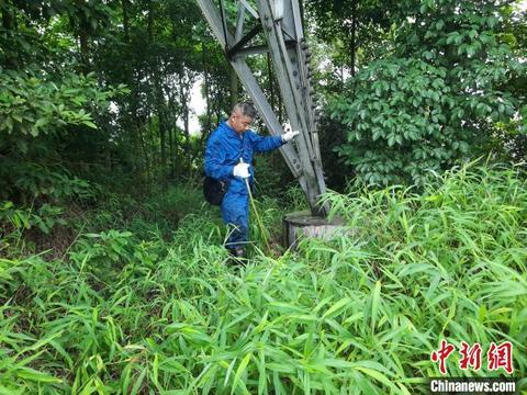 四川泸州遭遇罕见地震，直面灾难，心系伤亡