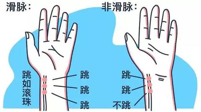 中医把脉揭秘伤心脉，探寻情感与健康之奥秘