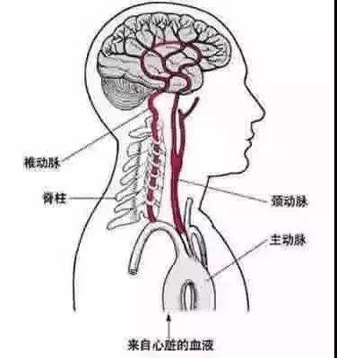 摔倒被竹签刺入小脑，逆境中的重生之路
