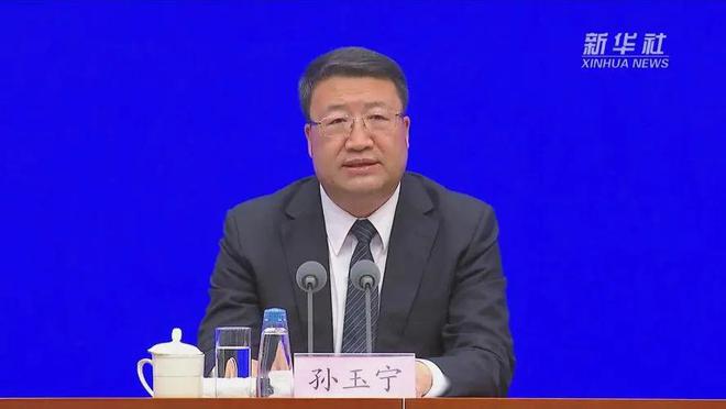 海关总署原副署长孙玉宁被逮捕事件深度解析