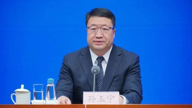 海关总署原副署长孙玉宁被逮捕事件深度解析