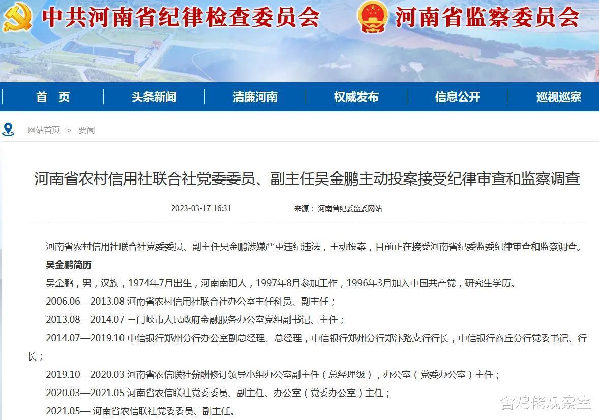 河南一地财政局原局长成在逃人员，事件深度解析