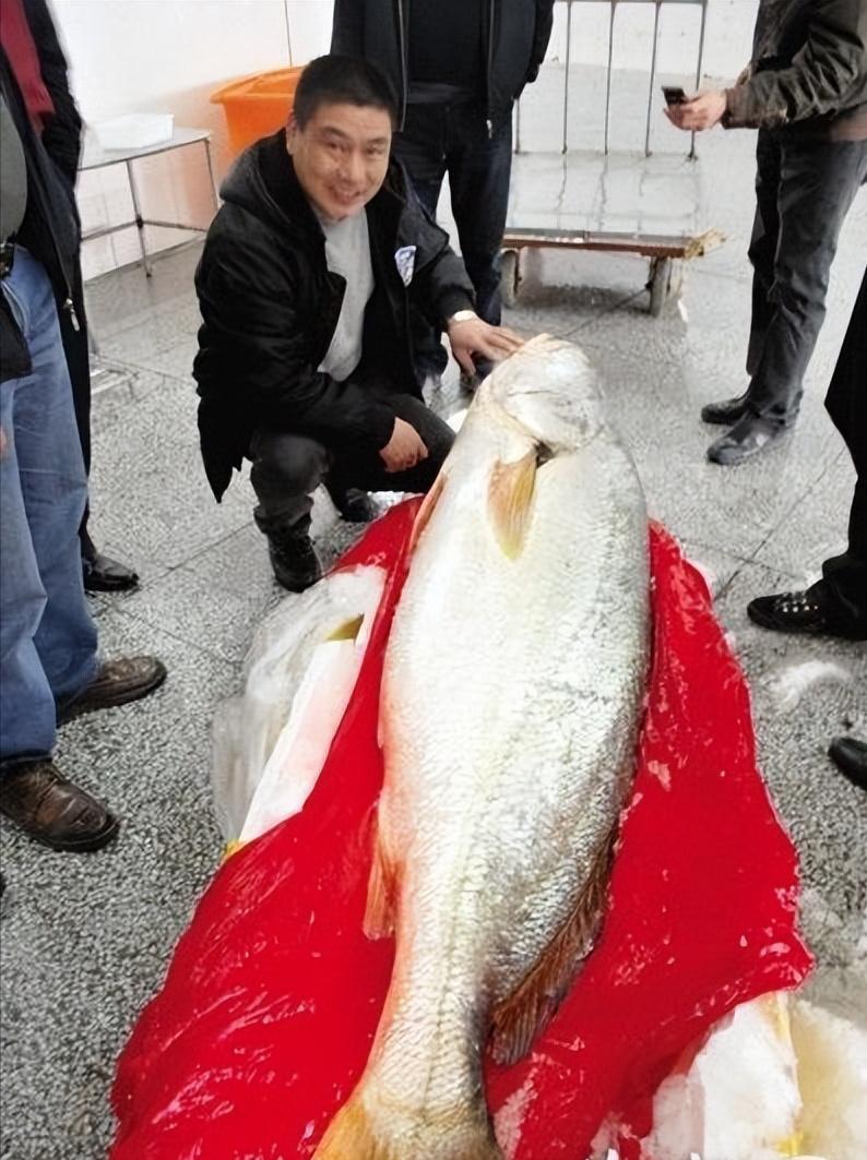 揭秘300补偿金钓走17万，背后的故事与反思