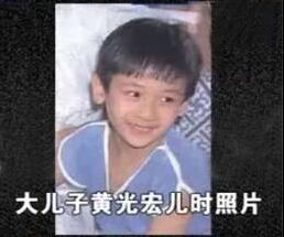 赵雅芝儿子简历，星光熠熠的娱乐圈新星