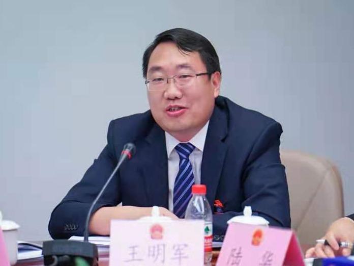 深圳人才最高奖60万，激发创新活力的新篇章