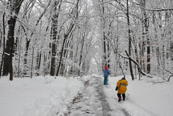东北三月末的意外鹅毛大雪