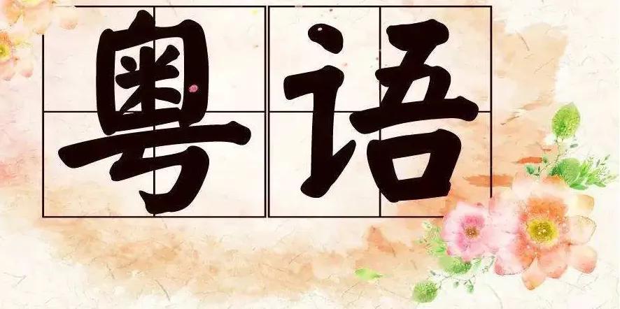 探秘丢那星英文——网络热门语言中的新现象